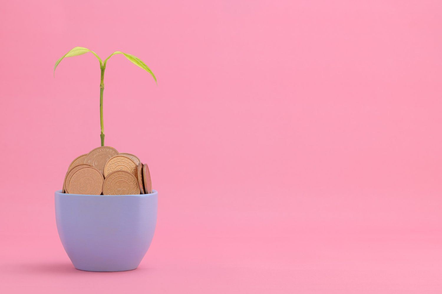 geldanlageberatung frankfurt